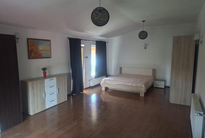 Inchiriez Vila 5 camere in Padurea Snagov, Silistea Snagovului - 8