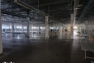 Spațiu comercial, de 5,800 mp, în Boldești - 19