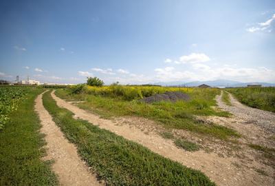 Teren de vanzare - Zona Stupini - COMISION 0% - 4