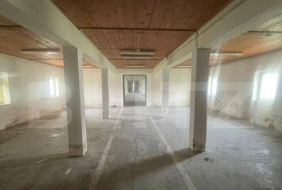 Hale de inchiriat, 676 mp in Dumbravi?a - 1