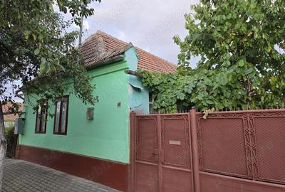 Casa de vanzare in Ortisoara - 1