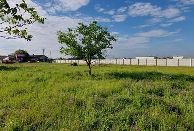 Teren Construcții intravilan de 1666 mp, în Zețarilor - 6