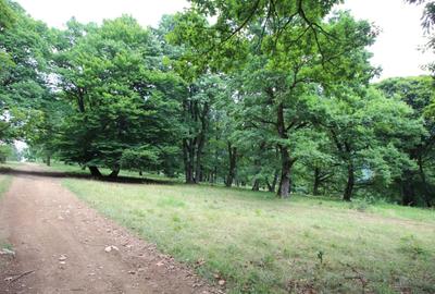 Teren Construcții intravilan de 4714 mp, în Poiana Brașov - 1