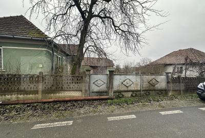 Teren 3000 mp + 2 case de vanzare-Ca?eiu - 36