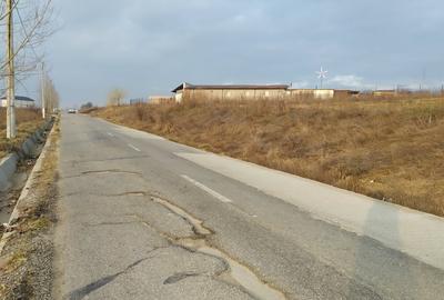 Teren Construcții intravilan de 10000 mp, în Pielești - 3