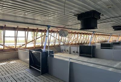 Ferma porcine la cheie - 5