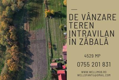 Teren agricol intravilan de 4529 mp, în Zăbala