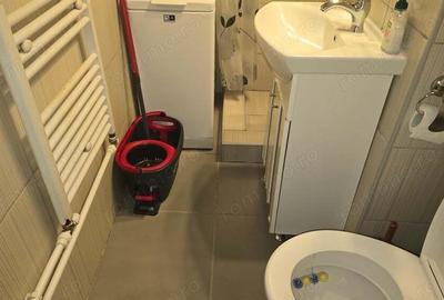 Vand apartament cu 2 camere in Deva, zona Dacia (Romanilor), etaj 2, mobilat si utilat integral - 9