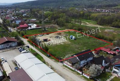 Teren de vanzare inchiriere in Curtea de Arge?. - 11