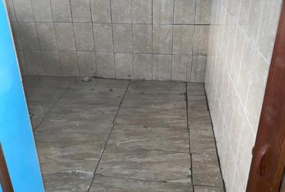 Casă cu 2 camere cu Teren 2880 Mp în Țipar - 1