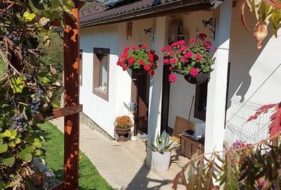 Casa individaual renovata, curte amenjata Boteni de Arges - 4