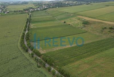 Teren de 4.400 mp Racova - 4