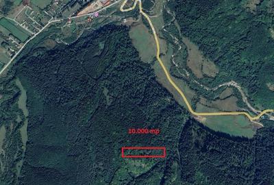 Teren cu padure in Bradet intre DN 1 A si raul Doftana - 1