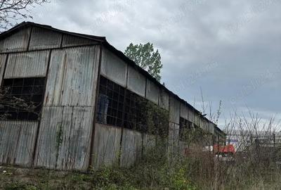 Hala metalica Targu Jiu - 3
