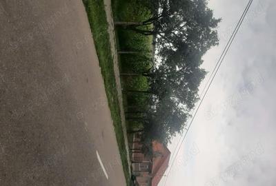 Casă cu 2 camere în Beliu - 3