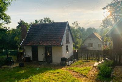Casă cu 2 camere cu Teren 1500 Mp în Brazii - 8