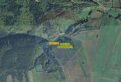 Teren extravilan de 42750 mp, în Odești - 2