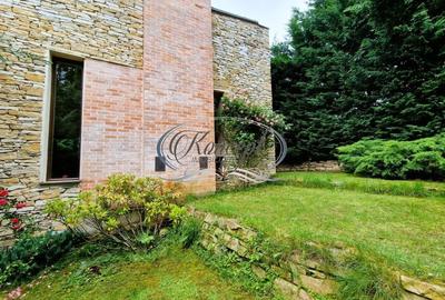 Casa deosebita in Faget - 3