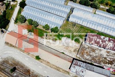 COMISION 0% Spatiu industrial de 695 mp si teren de 1821 mp - Giulvaz - 4