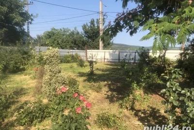 Casă cu 6 camere în Jariștea - 5