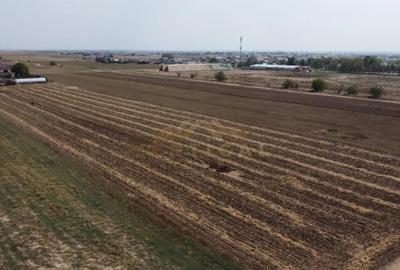 Teren de 482 mp, în Berceni