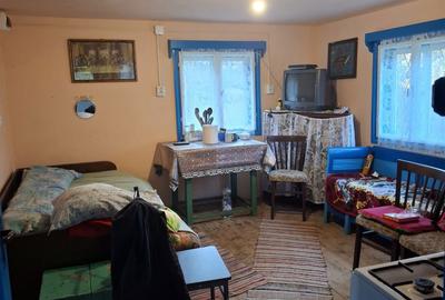Casă cu 2 camere în Ponor - 5