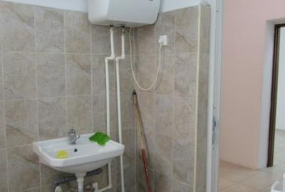 Inchiriere Spatiu Comercial Teiul Doamnei - 38