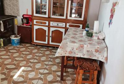 Casă cu Teren 350 Mp în Svinița - 4