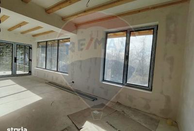 Casă cu 5 camere cu Teren 4000 Mp în Răzvad - 15