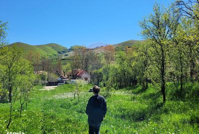 Teren de 1271 mp, în Livezile - 8