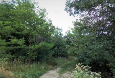 Teren Construcții intravilan de 1500 mp, în Lazu - 6