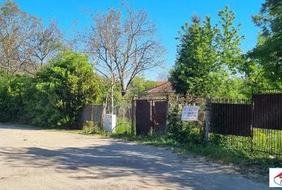 Teren în Bercu Roșu - 7
