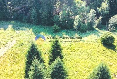 Teren TARCǍU - SCHITU,judetul NEAMȚ - 5