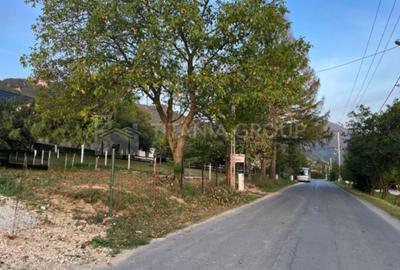 Teren Construcții intravilan de 1050 mp, în Exterior Vest - 3
