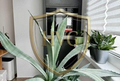 Garsonieră în Arcul de Triumf - 7