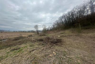 Teren intravilan si extravilan 2025 mp  Medias zona Kaufland - 1