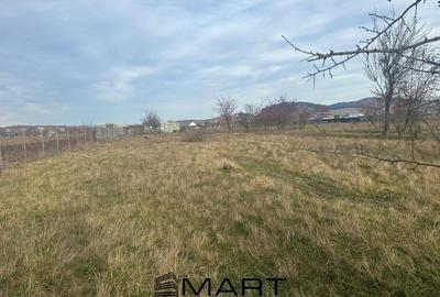 Teren Intravilan 865 mp Sanpetru - 2