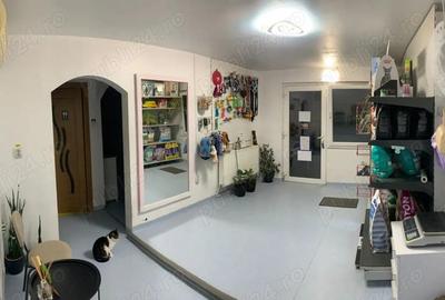 Spațiu comercial, de 36 mp, în Șagului - 5
