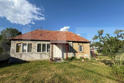 Casa taraneasca in inima naturii - 3