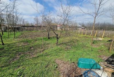 Casă cu 4 camere cu Teren 2170 Mp în Nucetu