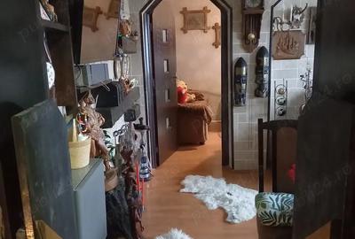 Apartament Moldova-Noua - 7