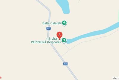 Teren agricol extravilan de 56500 mp, în Tămădău Mare - 1