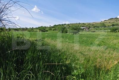 Teren de 4800 mp, în Central