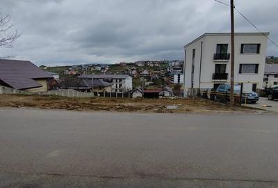 Spațiu comercial, în Vișan - 4