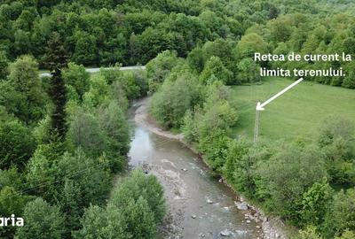 Teren de 4000 mp, în Babarunca - 7