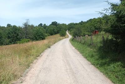 Spațiu comercial, în Căpeți - 2