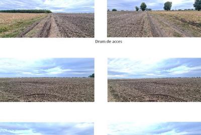 Teren de 5000 mp, în Vâlcelele - 2