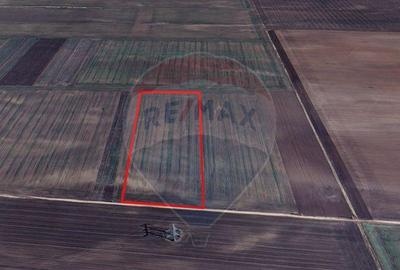 Teren de 6500 mp, în Hărman - 4