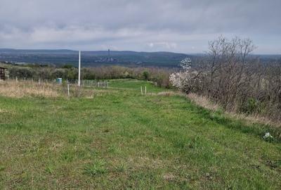 Spațiu comercial, în Central - 6
