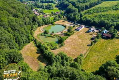 Teren de 2737 mp, în Dobârlău - 3